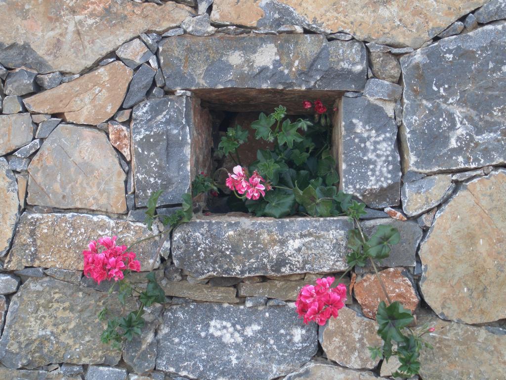 Villa Tholos Crete Kavoúsion Exterior foto